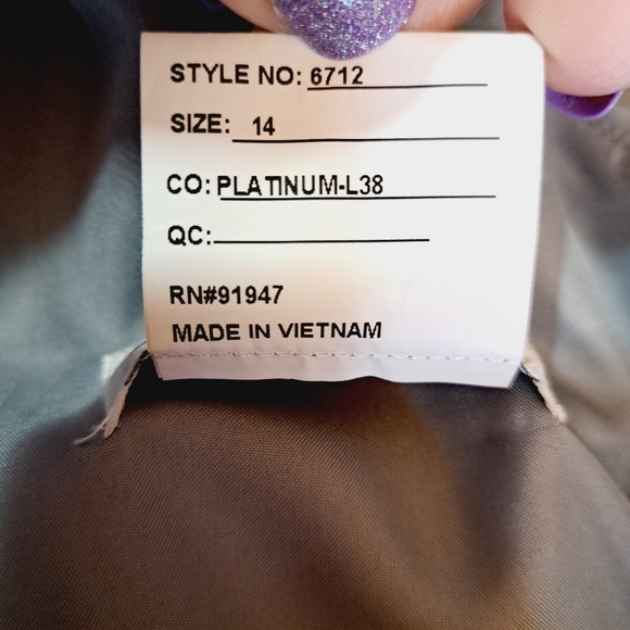 After Six Full Length Draped Front Slit Lux Chiffon Dress in Platinum Size 14 - Picture 8 of 11